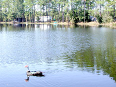 Georgia Lake Campground